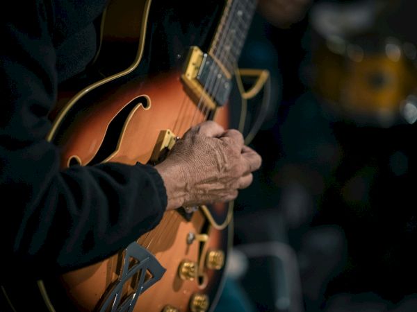 A close-up of hands playing an electric guitar with f-holes and golden hardware. The guitarist is wearing a black long-sleeve shirt.