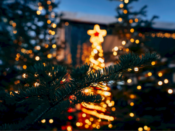 A Christmas tree with glowing lights and a star on top, surrounded by blurred lights and greenery at dusk.