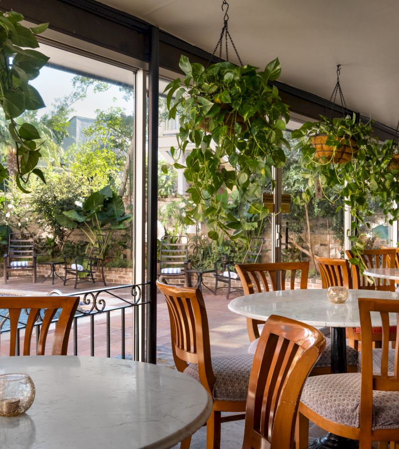 A dining area with round tables and wooden chairs, surrounded by hanging plants and glass windows.