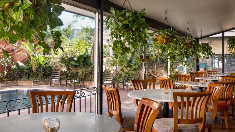 A dining area with round tables and wooden chairs, surrounded by large windows and hanging plants, overlooking a pool area.