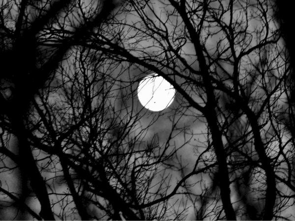 A bright full moon shines through dark, leafless tree branches against a cloudy night sky.